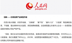 可认为吉喷鼻居的本钱供给专业背书